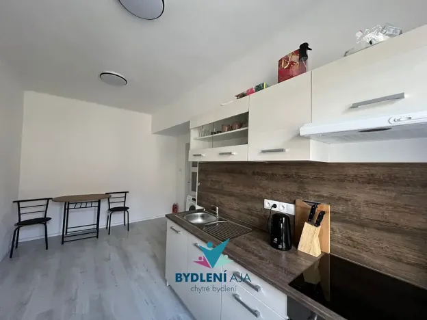 Prodej bytu 1+1, Teplice, 14. října, 42 m2