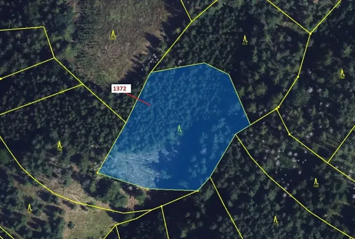 Dražba lesa, Vranová Lhota, 5978 m2