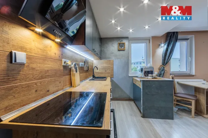 Prodej bytu 3+kk, Karlovy Vary - Rybáře, Borová, 43 m2