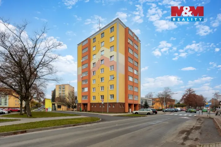 Prodej bytu 3+1, Nová Role, Chodovská, 58 m2