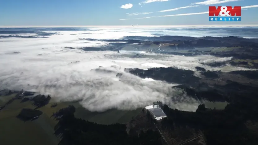 Prodej lesa, Bohdalov, 34642 m2