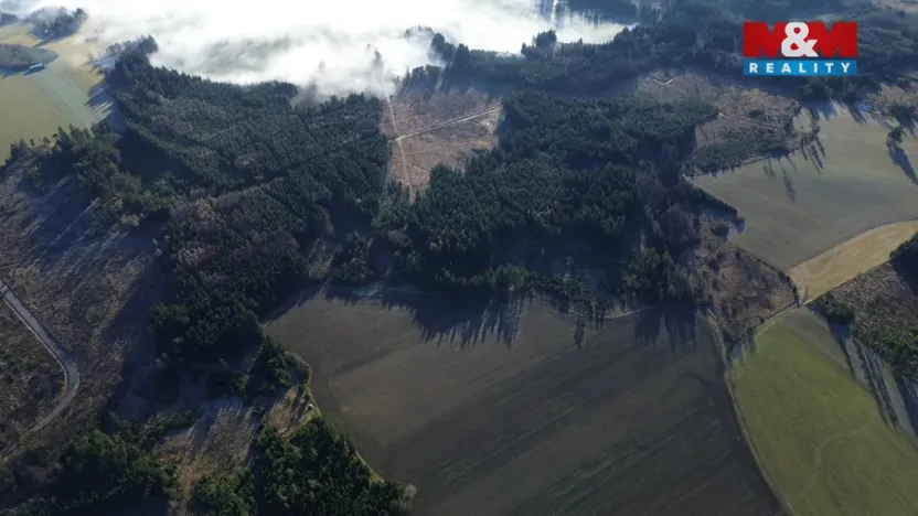 Prodej lesa, Bohdalov, 34642 m2