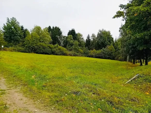 Prodej louky, Herálec, 35197 m2