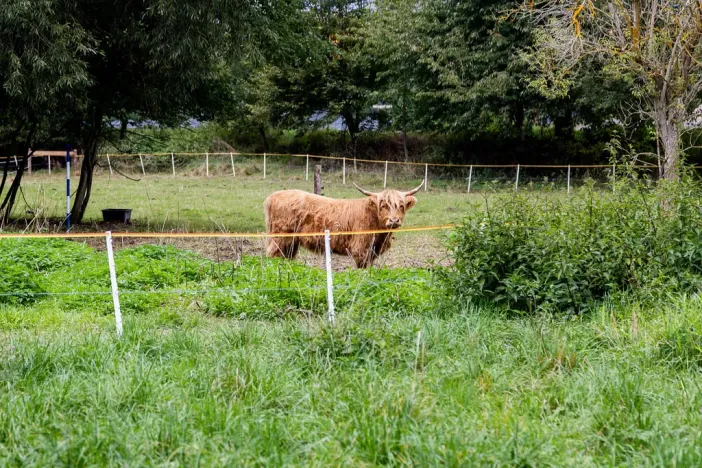 Prodej rodinného domu, Litíč, 60 m2