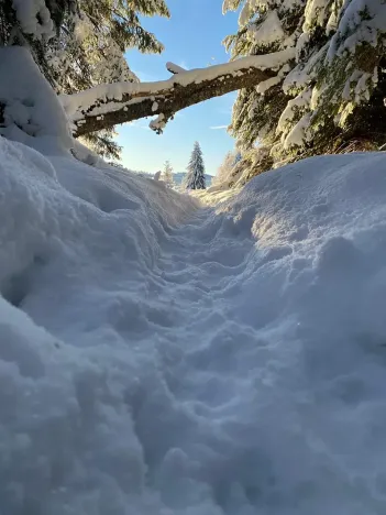 Prodej rodinného domu, Kvilda, 408 m2