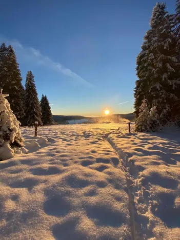 Prodej rodinného domu, Kvilda, 408 m2