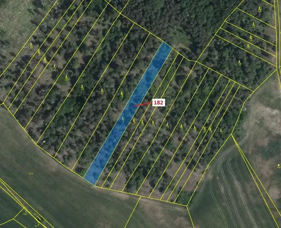 Dražba lesa, Klučov, 2665 m2