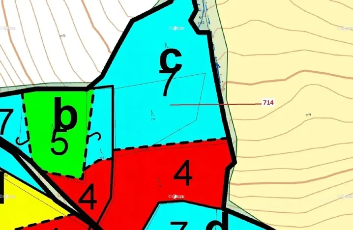 Dražba lesa, Kuřimany, 2850 m2