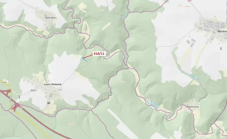 Dražba lesa, Lesní Hluboké, 3838 m2