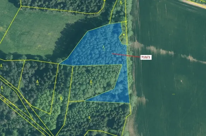 Dražba lesa, Kuřimany, 5067 m2