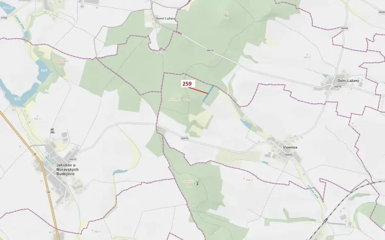 Dražba lesa, Vícenice, 6645 m2