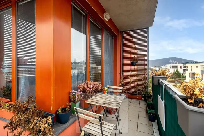 Prodej bytu 2+kk, Praha - Zbraslav, Pickova, 55 m2