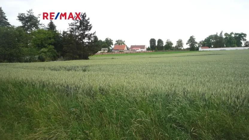 Prodej pozemku pro bydlení, Hořesedly, 985 m2