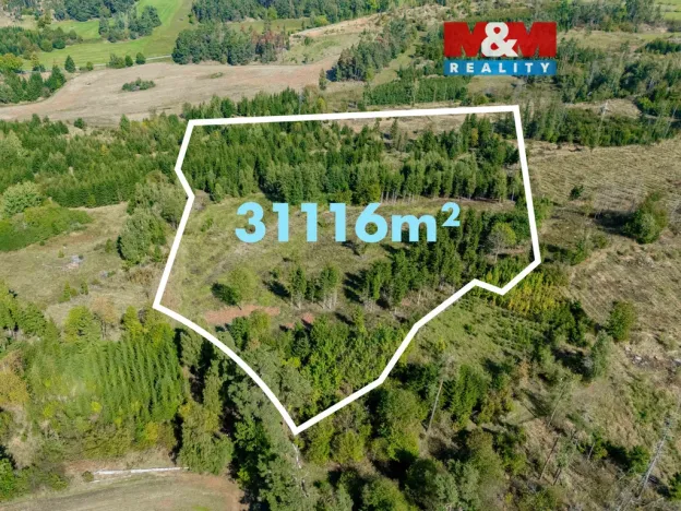 Prodej lesa, Horní Heřmanice, 31116 m2