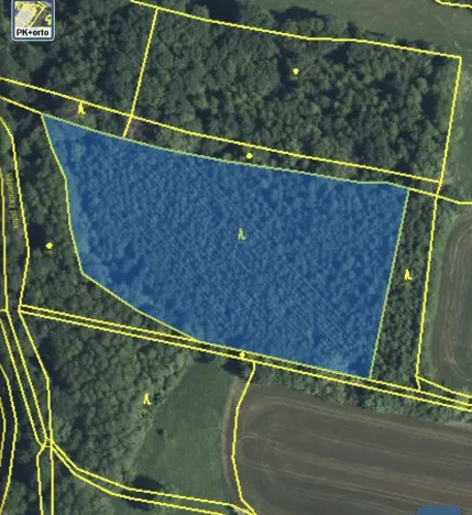 Prodej lesa, Lánov - Horní Lánov, 15278 m2