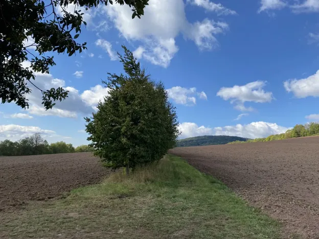 Prodej lesa, Lánov - Horní Lánov, 15278 m2