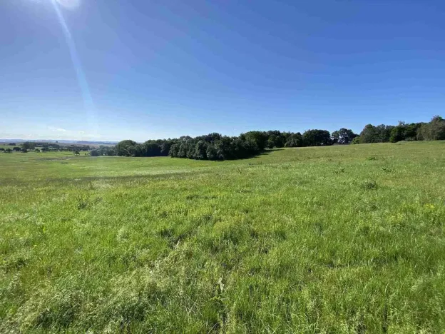 Prodej pole, Křešín, 6536 m2