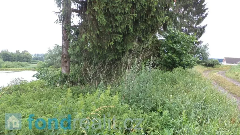 Prodej pozemku, Třebařov, 4992 m2