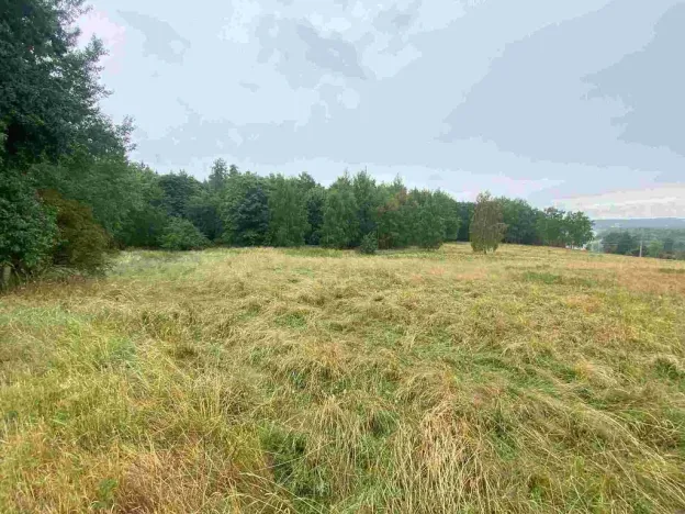 Prodej pole, Nové Sedlo - Loučky, 49321 m2