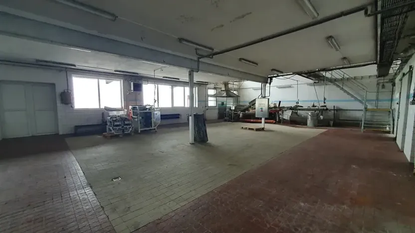 Prodej výrobních prostor, Nížkov, 7316 m2