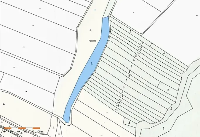 Prodej lesa, Dolní Vilémovice, 6622 m2