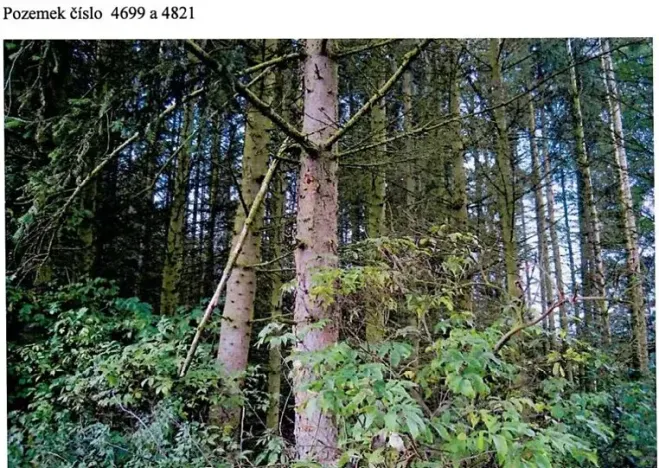 Prodej lesa, Dolní Cerekev, 11509 m2