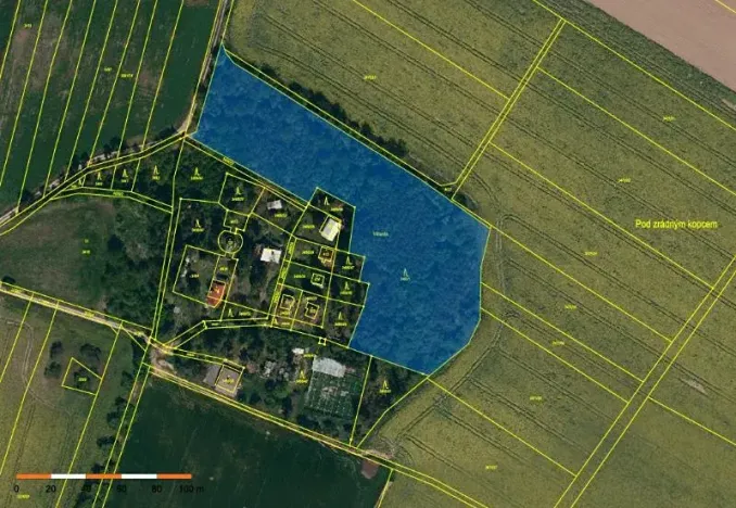 Prodej lesa, Budišov, 11874 m2