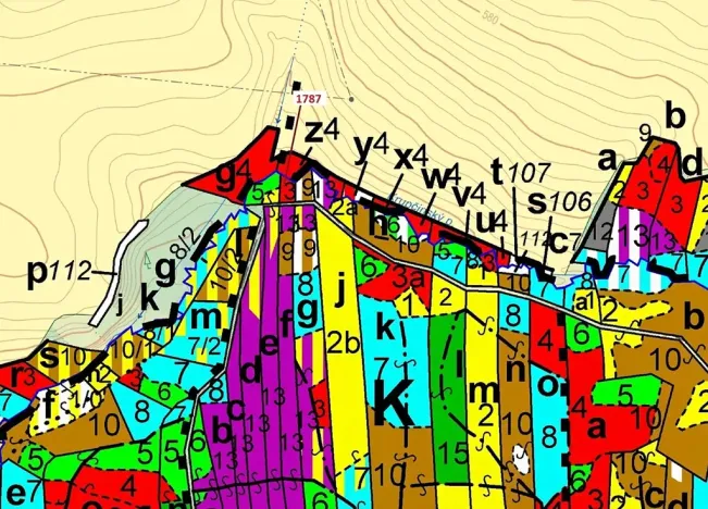 Dražba lesa, Žirovnice, 288 m2