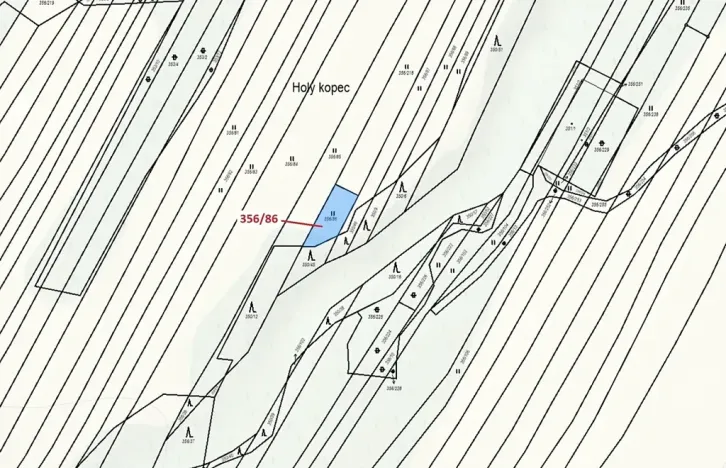 Dražba louky, Ivančice, 252 m2