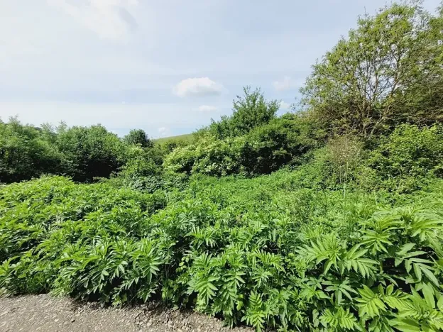 Prodej pozemku pro bydlení, Osvětimany, 1645 m2