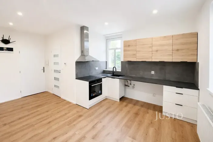 Pronájem bytu 1+1, Velké Březno, 47 m2