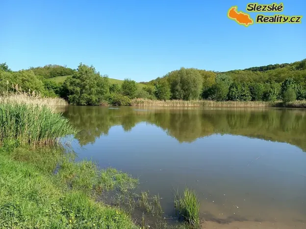 Prodej lesa, Diváky, 6415 m2