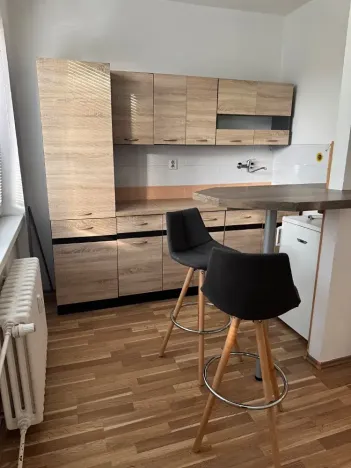 Prodej bytu 1+kk, Ostrava, Heleny Salichové, 27 m2