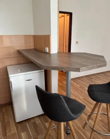 Prodej bytu 1+kk, Ostrava, Heleny Salichové, 27 m2