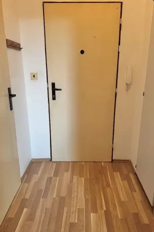 Prodej bytu 1+kk, Ostrava, Heleny Salichové, 27 m2