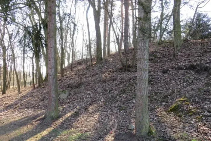 Prodej lesa, Čerčany, 394 m2