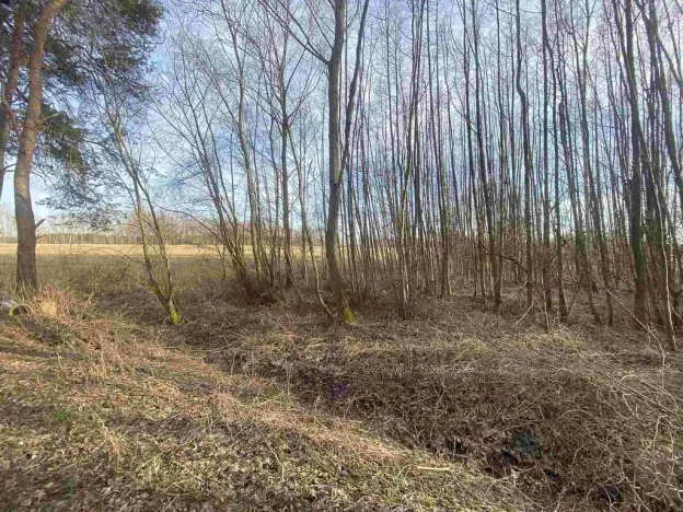 Prodej pozemku, Trstěnice, 1109 m2