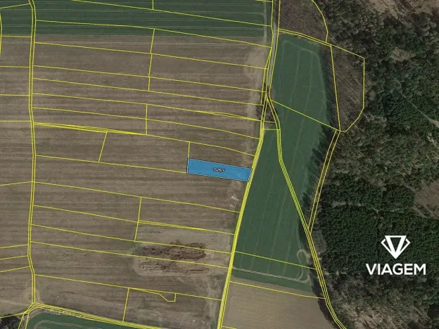 Prodej pole, Soutice, 1843 m2