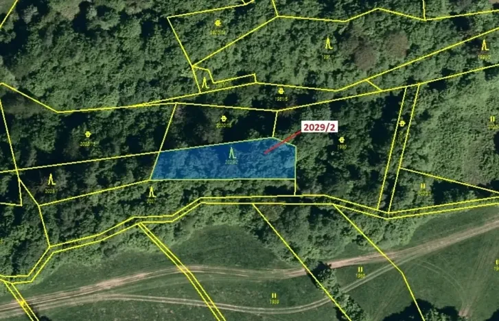 Dražba lesa, Hovězí, 788 m2