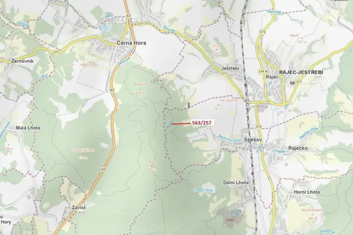 Dražba lesa, Spešov, 2643 m2