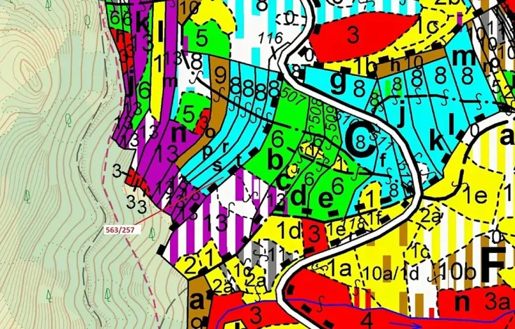 Dražba lesa, Spešov, 2643 m2