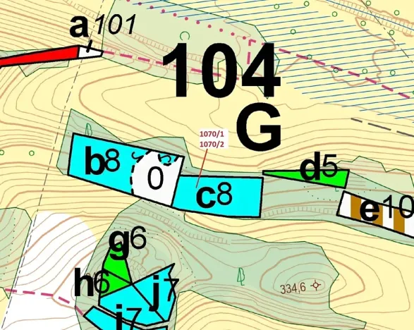 Dražba lesa, Kněžnice, 2271 m2