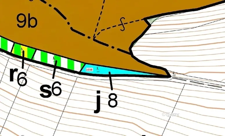 Dražba lesa, Nové Dvory, 953 m2