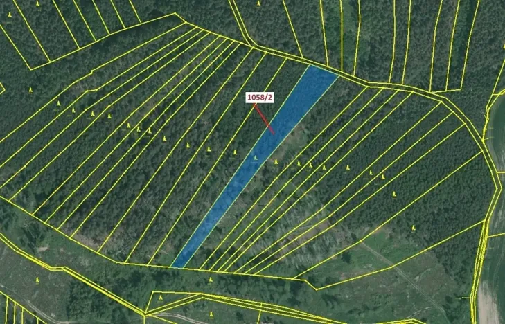 Dražba lesa, Milavče, 5152 m2