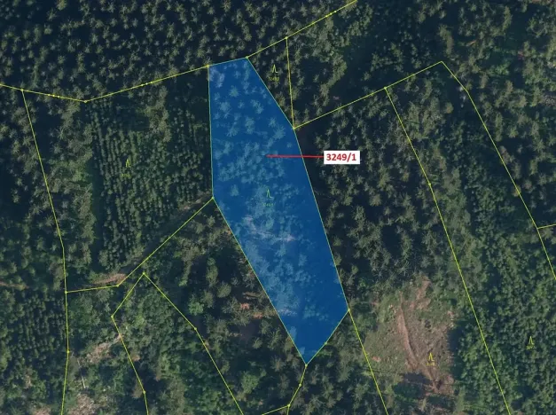 Dražba lesa, Velké Hamry, 5995 m2