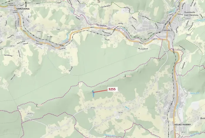 Dražba lesa, Velké Hamry, 6125 m2