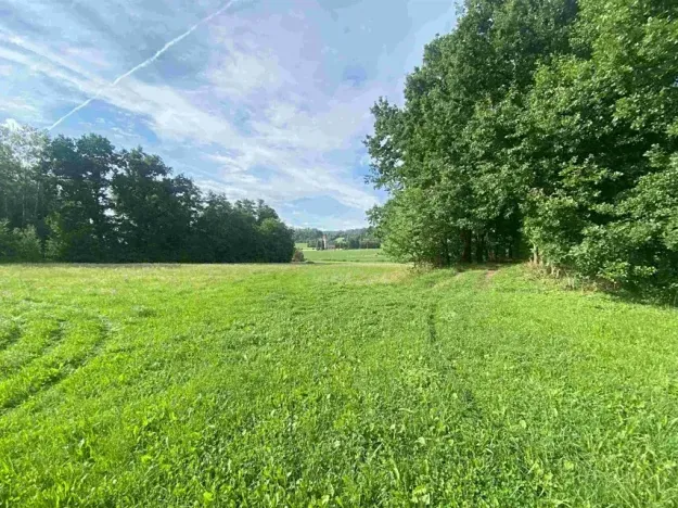 Dražba louky, Maleč, 6901 m2