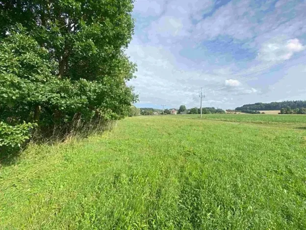 Dražba louky, Maleč, 6901 m2
