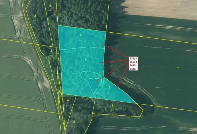 Dražba lesa, Peč, 7902 m2