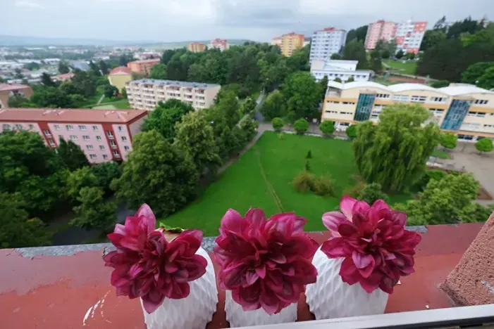 Pronájem bytu 1+1, Uherský Brod, 30 m2